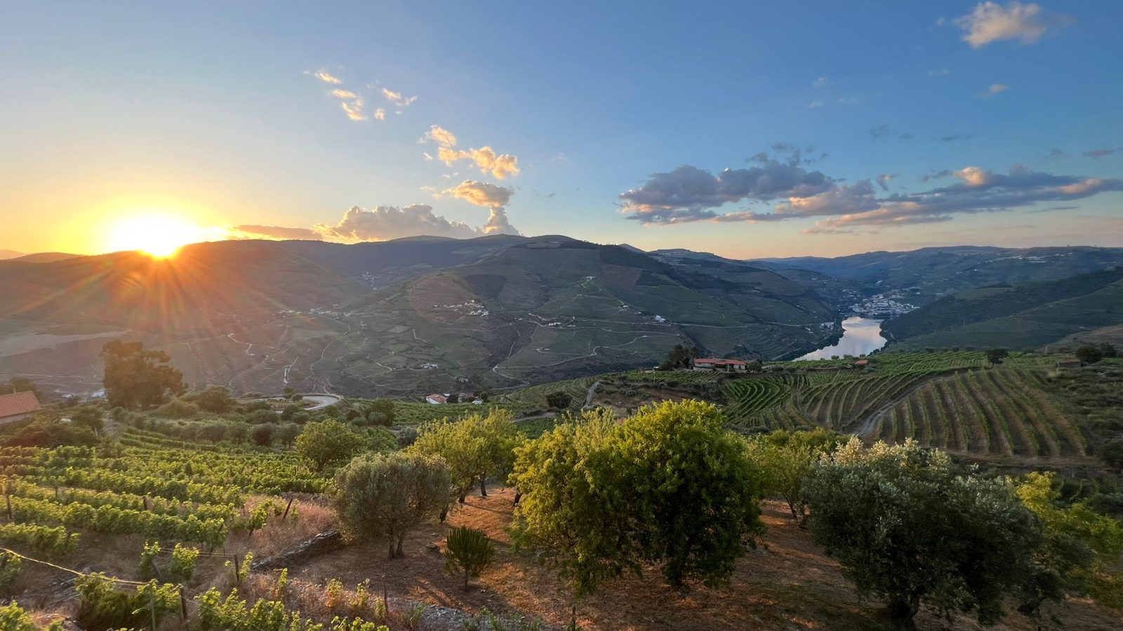 Vista douro - Douro Region, Portugal
